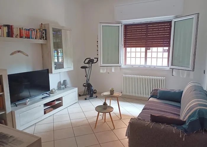 Sisters بولونيا